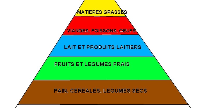 Cours "Nos Aliments Et Leur Production"